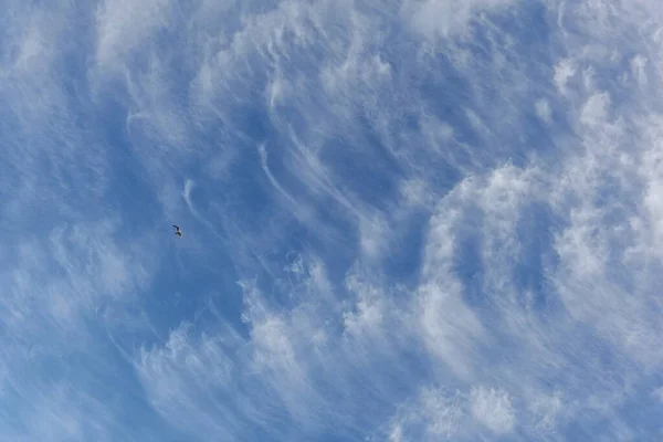 Cielo Azul Claro Con Nubes Brillantes Después Tormenta Atardecer Luz — Foto de Stock