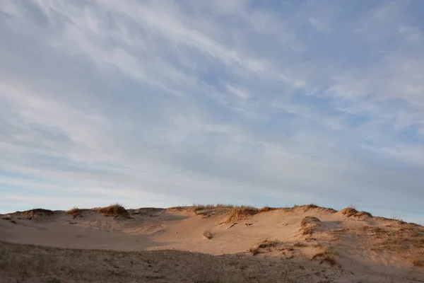 Brzeg Morza Bałtyckiego Słoneczny Dzień Plaża Wydmy Trawa Wydmowa Czyste — Zdjęcie stockowe