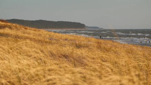 Ostseestrand Einem Sonnigen Tag Strand Sanddünen Dünengras Klarer Himmel Weiches — Stockfoto