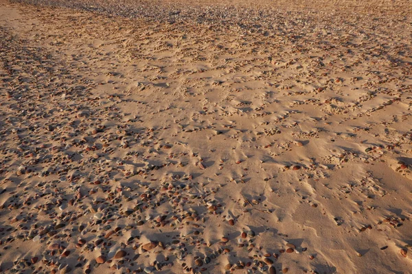 Kum Çakıl Taşlarını Yakından Çek Doğal Dokular Gün Batımında Baltık — Stok fotoğraf