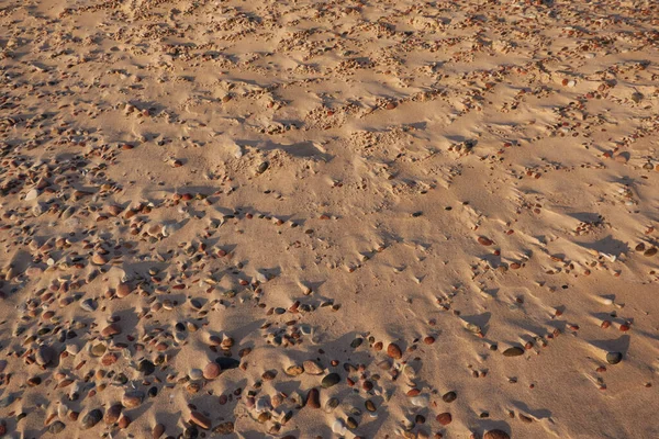 Sand Pebbles Close Natural Textures Baltic Sea Shore Beach Sunset — Stock Photo, Image