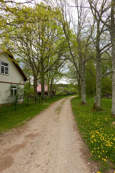 Estrada Rural Através Aldeia Florestal Casa Campo Cerca Primavera Início — Fotografia de Stock