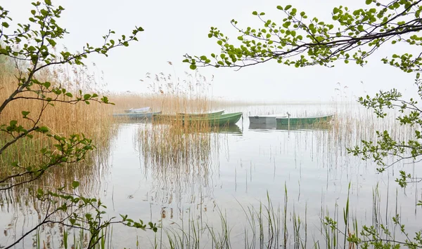 Pequeño Barco Pesquero Anclado Lago Forestal Niebla Lluvia Reflexiones Sobre — Foto de Stock