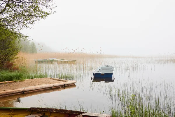 Orman gölüne demir atmış küçük bir balıkçı teknesi. Sis, yağmur. Sudaki yansımalar. Ulaşım, geleneksel zanaat, eğlence, boş zaman aktivitesi, sağlıklı yaşam tarzı, yerel turizm teması. Bahar manzarası