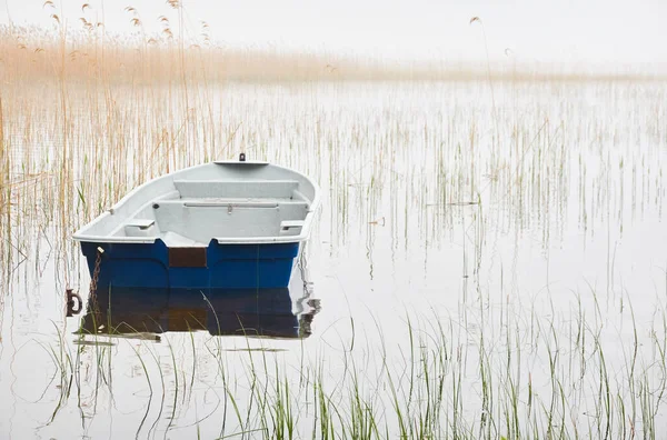 Orman gölüne demir atmış küçük bir balıkçı teknesi. Sis, yağmur. Sudaki yansımalar. Ulaşım, geleneksel zanaat, eğlence, boş zaman aktivitesi, sağlıklı yaşam tarzı, yerel turizm teması. Bahar manzarası
