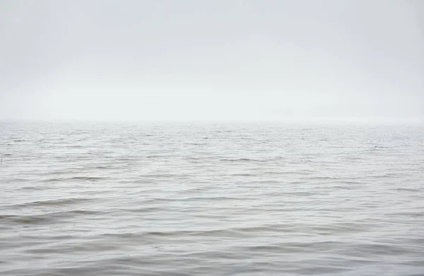 Вид Лесное Озеро Реку Дождливый День Густой Туман Идиллический Монохромный — стоковое фото