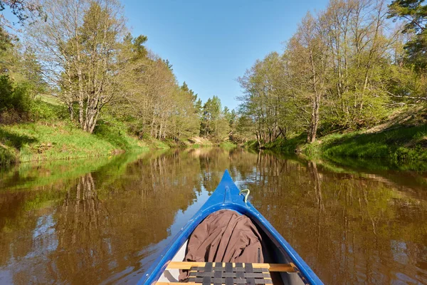 Kanot Ridning Irbe Floden Kurzeme Lettland Skog Mäktiga Träd Reflektioner — Stockfoto