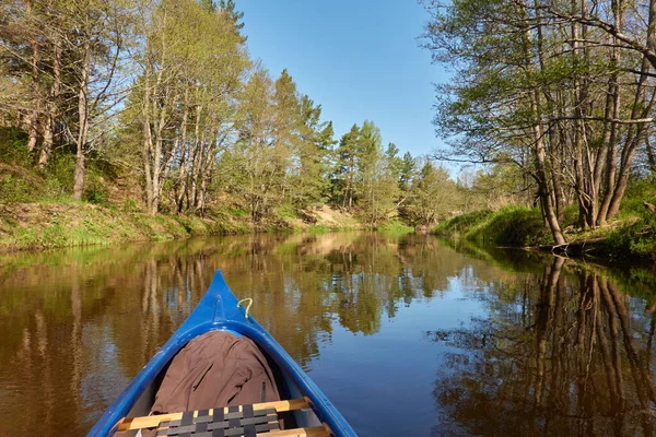 Canoë Sur Rivière Irbe Kurzeme Lettonie Forest Puissants Arbres Des — Photo