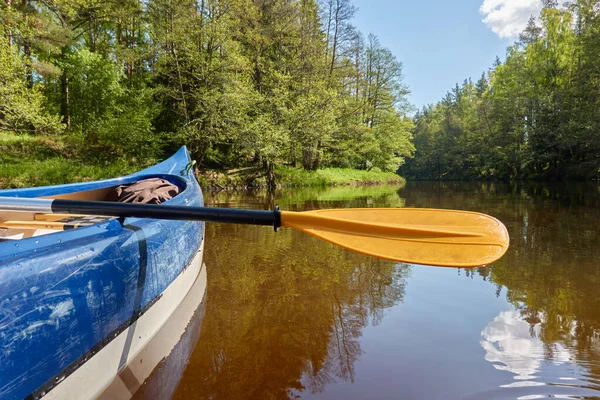 Kanufahren Auf Dem Fluss Irbe Kurland Lettland Wald Mächtige Bäume — Stockfoto