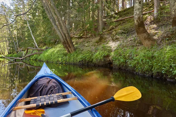 Canoe riding on Irbe river. Kurzeme, Latvia. Forest. mighty trees, reflections in water. Nature, ecology, eco tourism, hiking, leisure activity, boating, rowing, sport, healthy lifestyle, wanderlust