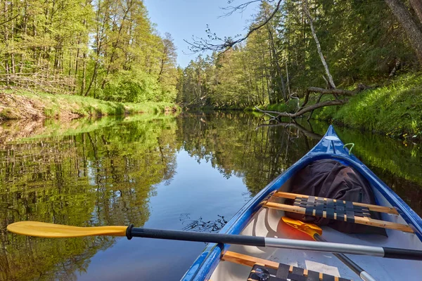 Kanufahren Auf Dem Fluss Irbe Kurland Lettland Wald Mächtige Bäume — Stockfoto