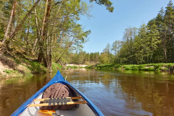 Canoe riding on Irbe river. Kurzeme, Latvia. Forest. mighty trees, reflections in water. Nature, ecology, eco tourism, hiking, leisure activity, boating, rowing, sport, healthy lifestyle, wanderlust