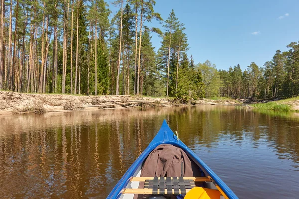 Kanot Ridning Irbe Floden Kurzeme Lettland Sandstrand Vintergrön Tallskog Natur — Stockfoto