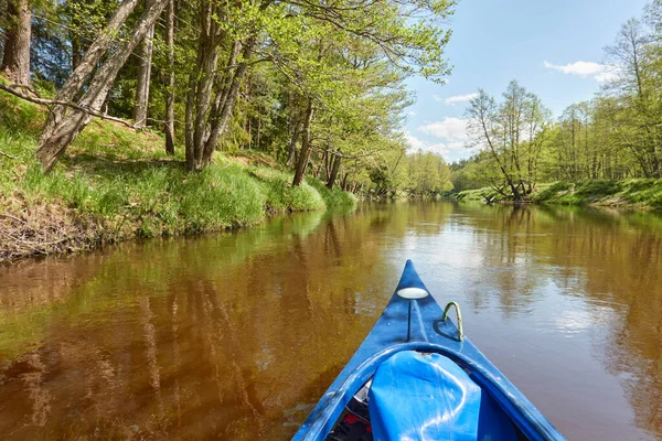 강에는 카누가 Kurzeme 라트비아 나무들 속에서 반사되는 친환경 하이킹 보트타기 — 스톡 사진