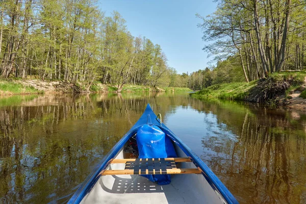 Canoa Sul Fiume Irbe Kurzeme Lettonia Foresta Alberi Possenti Riflessi — Foto Stock