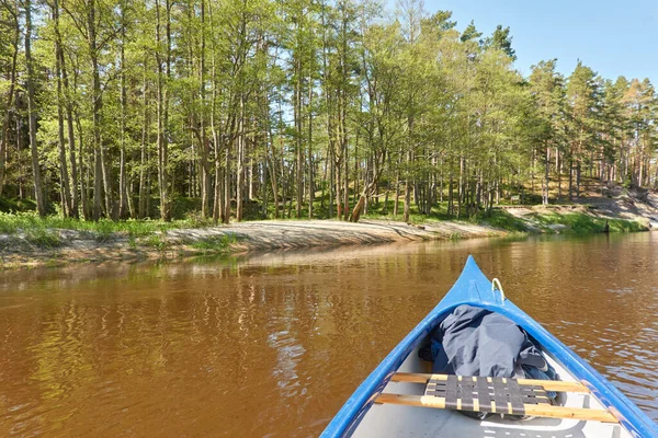 Canoe riding on Irbe river. Kurzeme, Latvia. Forest. mighty trees, reflections in water. Nature, ecology, eco tourism, hiking, leisure activity, boating, rowing, sport, healthy lifestyle, wanderlust