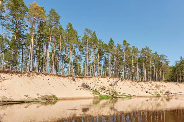 Panoramic View Irbe River Kurzeme Latvia Sandy Shore Beach Majestic — Stock Photo, Image