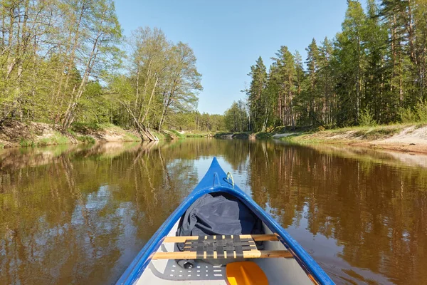 Kanufahren Auf Dem Fluss Irbe Kurland Lettland Sandiges Ufer Immergrüner — Stockfoto