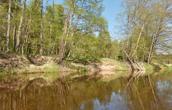 Panoramic View Irbe River Kurzeme Latvia Sandy Shore Beach Majestic — Stock Photo, Image