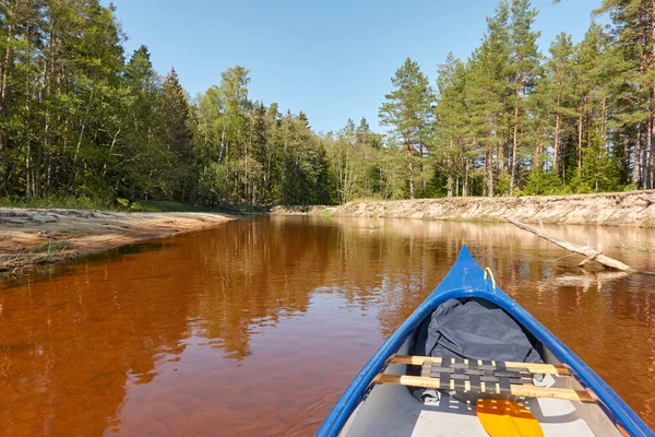 Canoe riding on Irbe river. Kurzeme, Latvia. Forest. mighty trees, reflections in water. Nature, ecology, eco tourism, hiking, leisure activity, boating, rowing, sport, healthy lifestyle, wanderlust