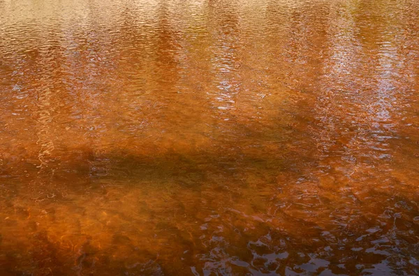 Crystal Clear Water Surface Sand Pebbles Abstract Natural Pattern Texture — Stock Photo, Image