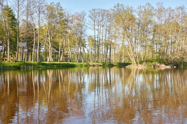 Rekreační Areál Odpočinková Zóna Lesoparku Irbe River Kurzeme Lotyšsko Příroda — Stock fotografie