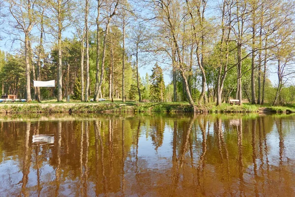 Rekreační Areál Odpočinková Zóna Lesoparku Irbe River Kurzeme Lotyšsko Příroda — Stock fotografie