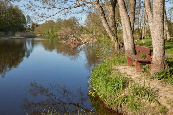 Recreational Area Resting Zone Forest Park Irbe River Kurzeme Latvia — Stock Photo, Image