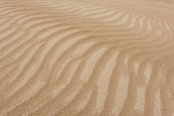 Kum Tepeciği Dokusu Yakın Plan Baltık Kıyısı Sahil Doğa Çöl — Stok fotoğraf