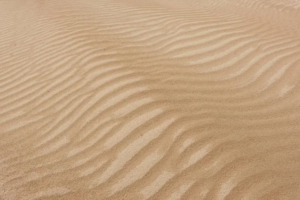 Sand Dune Texture Close Baltic Sea Shore Beach Nature Desert — Stock Photo, Image