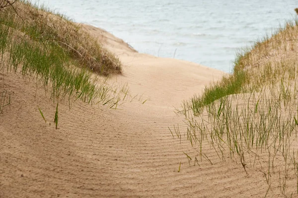 Текстура Песчаных Дюн Крупным Планом Берег Балтийского Моря Пляж Дюна — стоковое фото