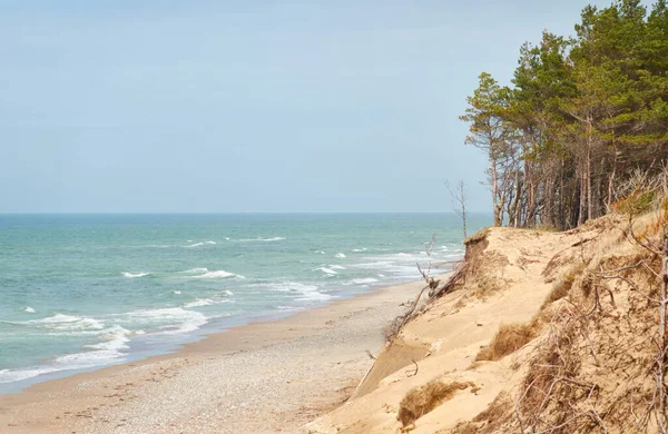 下雨天后的波罗的海海岸 沙丘草 孤独的松树 闪耀的云彩 风景如画的全景 变化无常的天气 — 图库照片