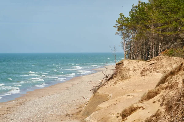 Baltic Sea Shore Sunny Day Sand Dunes Dune Grass Lonely — Stock Photo, Image