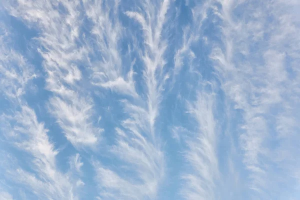 嵐の後に青い空をきれいにしなさい サーカスの雲を育てる 柔らかい夕日の光 パノラマ画像 テクスチャ グラフィックリソース デザイン コピースペース 平和の概念 — ストック写真