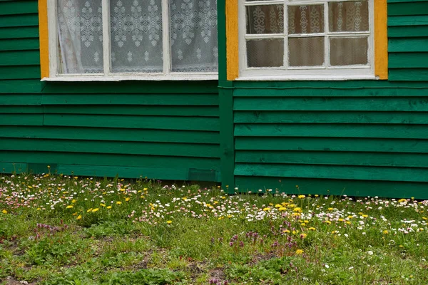 Старый Зеленый Деревянный Дом Деревня Лесной Газон Сад Весенний Пейзаж — стоковое фото