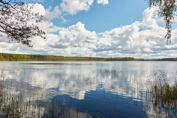 Panoramic View Shore Crystal Clear Forest Lake River Idyllic Landscape — Stock Photo, Image