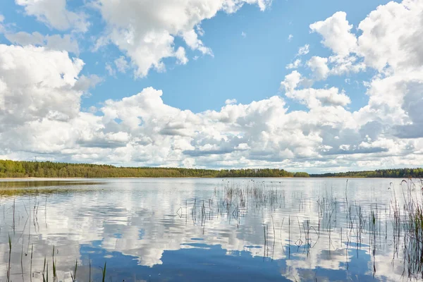 Kristal berrak bir orman gölü (nehir) kıyısından panoramik manzara. Idyllic manzara. İlkbahar, yazın başı. Doğa, çevre, ekoloji, eko-turizm, yürüyüş, tatiller, yüzme ve rahatlatıcı temalar
