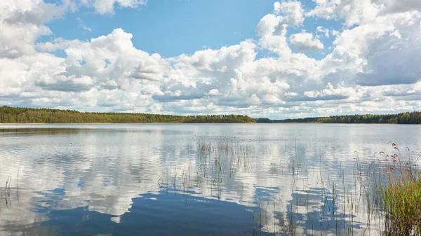 Kristal berrak bir orman gölü (nehir) kıyısından panoramik manzara. Idyllic manzara. İlkbahar, yazın başı. Doğa, çevre, ekoloji, eko-turizm, yürüyüş, tatiller, yüzme ve rahatlatıcı temalar