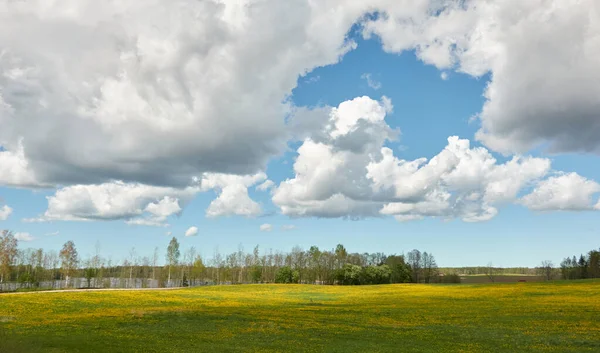 Céu Dramático Acima Das Colinas Campo Agrícola Arado Verde Floresta — Fotografia de Stock