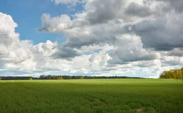 Dramatic Sky Hills Green Plowed Agricultural Field Forest Glowing Clouds — Stock Photo, Image