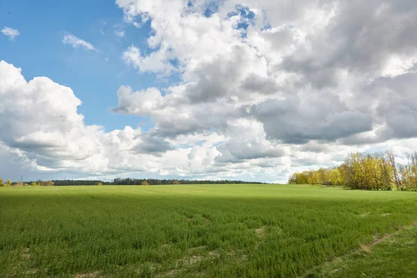 Dramatisk Himmel Ovanför Kullarna Grön Plöjd Jordbruksmark Och Skog Glödande — Stockfoto