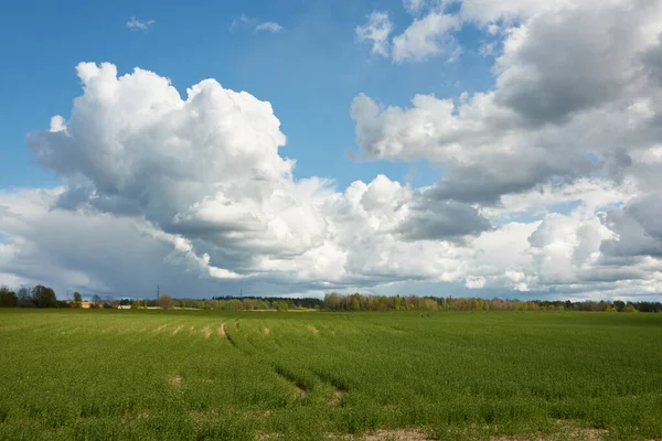 緑豊かな農地と森林の丘の上に劇的な空 雨や嵐の後に雲が成長します 純粋な太陽の光 牧歌的な田園風景 自然生態学のテーマ — ストック写真