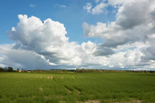 Céu Dramático Acima Das Colinas Campo Agrícola Arado Verde Floresta — Fotografia de Stock