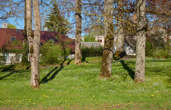 Ett Gammalt Stenhus Grön Trädgård Våren Försommaren Idyllisk Landsbygd Scen — Stockfoto