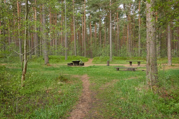 Área Recreativa Zona Descanso Bosque Verde Banco Mesa Rústica Madera —  Fotos de Stock