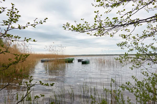 Orman gölüne demir atmış küçük bir balıkçı teknesi. Sudaki yansımalar. Ulaşım, geleneksel zanaat, eğlence, boş zaman aktivitesi, sağlıklı yaşam tarzı, yerel turizm kavramları. Bahar manzarası