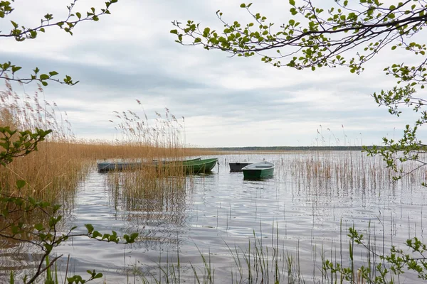 Orman gölüne demir atmış küçük bir balıkçı teknesi. Sudaki yansımalar. Ulaşım, geleneksel zanaat, eğlence, boş zaman aktivitesi, sağlıklı yaşam tarzı, yerel turizm kavramları. Bahar manzarası