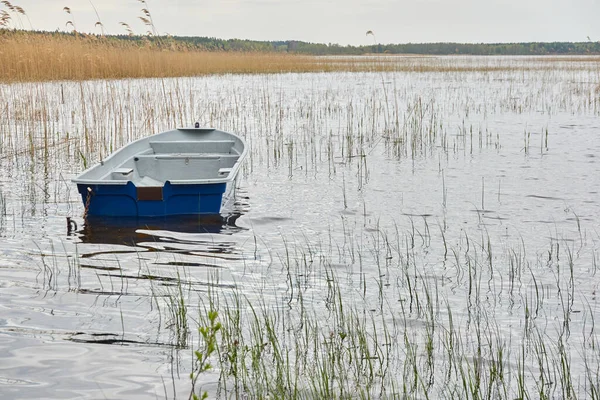 Orman gölüne demir atmış küçük bir balıkçı teknesi. Sudaki yansımalar. Ulaşım, geleneksel zanaat, eğlence, boş zaman aktivitesi, sağlıklı yaşam tarzı, yerel turizm kavramları. Bahar manzarası