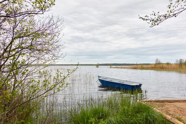 Kleine Vissersboot Verankerd Een Bosmeer Reflecties Water Vervoer Traditionele Ambachtelijke — Stockfoto