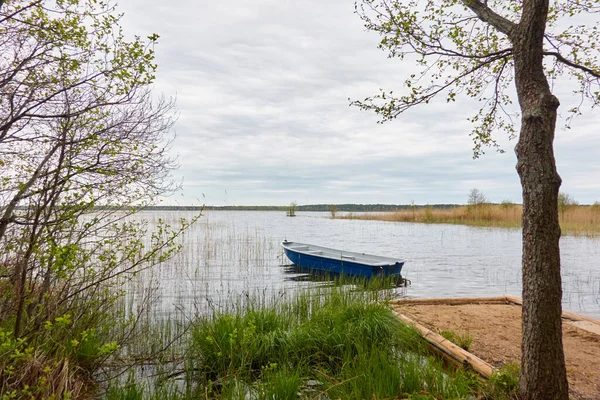 Orman gölüne demir atmış küçük bir balıkçı teknesi. Sudaki yansımalar. Ulaşım, geleneksel zanaat, eğlence, boş zaman aktivitesi, sağlıklı yaşam tarzı, yerel turizm kavramları. Bahar manzarası